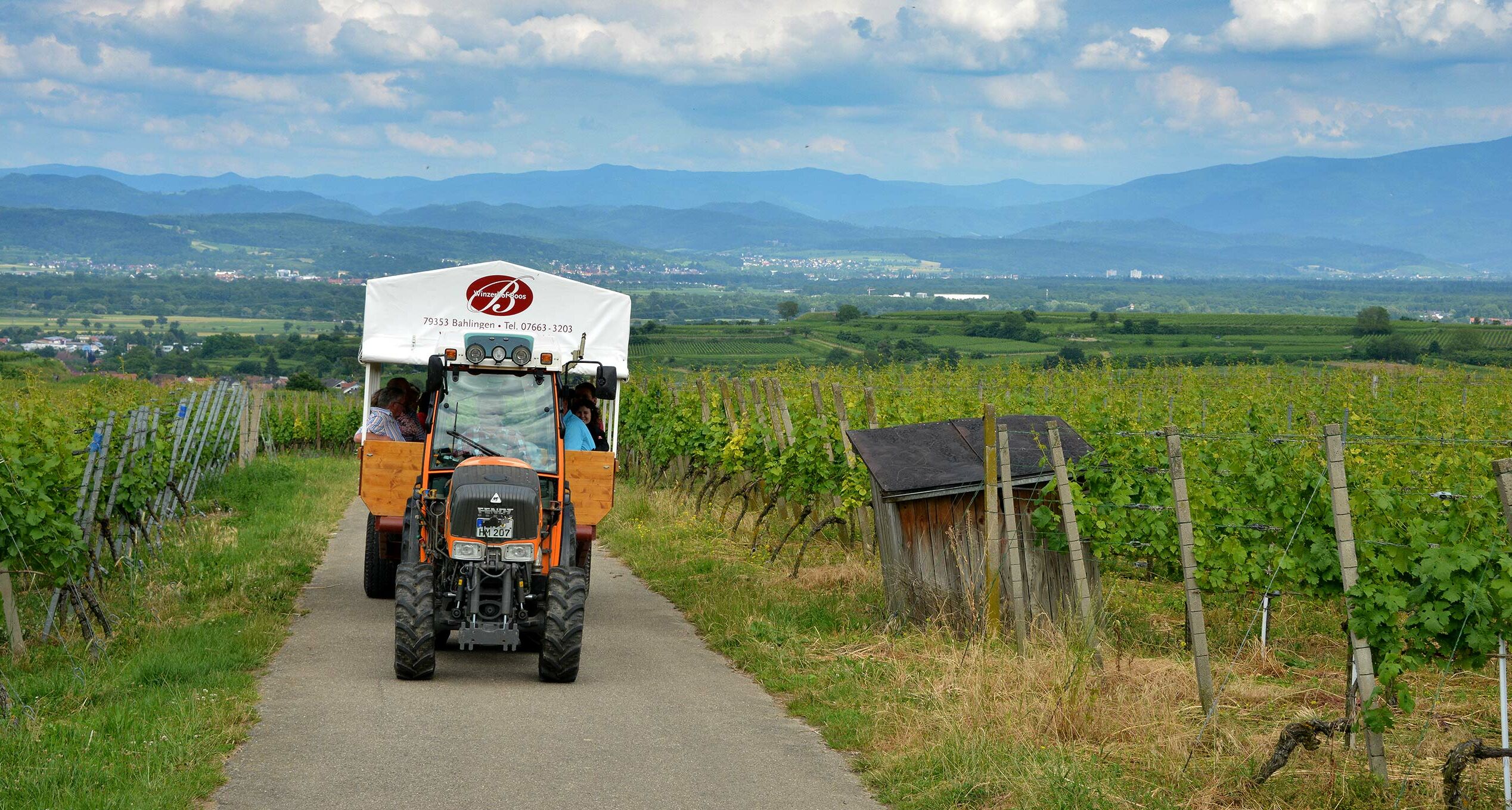 Traktorfahrten Kaiserstuhl